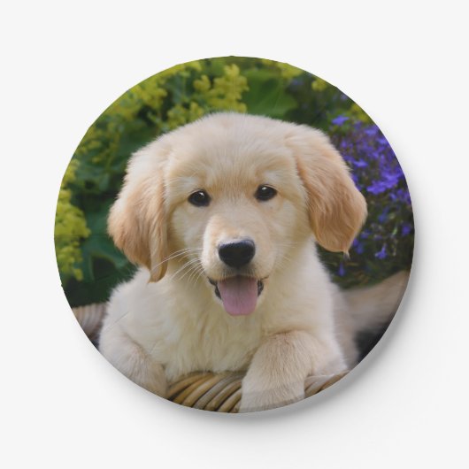 魅了のGoldie犬の子犬のポートレート、パーティー ペーパープレート (正面)