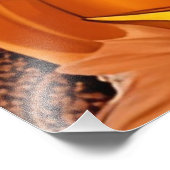 魅力的なハロウィーンの女性のウォールアート – 秋 フォトプリント            (角)