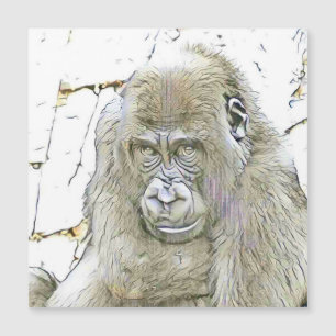 魅力的な変化した動物 – Gorilla