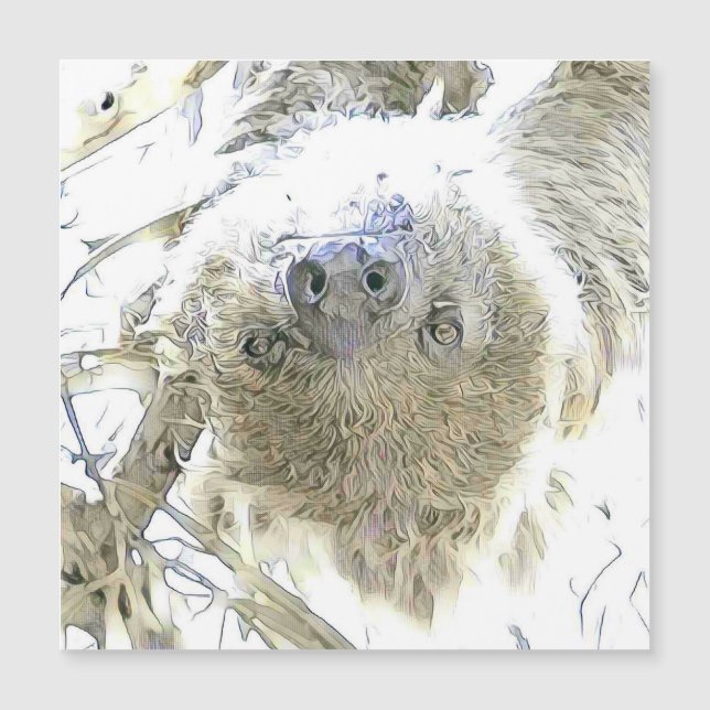 魅力的な変化した動物 – Sloth (正面)