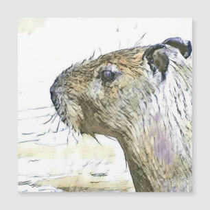 魅力的な変更された動物 – Capybara