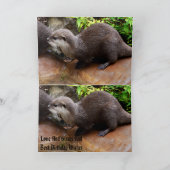 魅力的な小さなグレーオッター、ハッピーバースデー カード (内部)