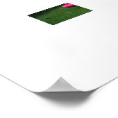 魅力的な屋外図書館 ポスター (角)