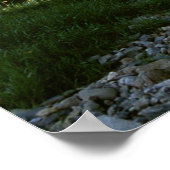 魅力的な自然 ポスター (角)