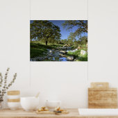 魅力的な自然 ポスター (キッチン)