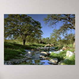 魅力的な自然 ポスター