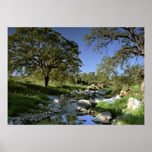 魅力的な自然 ポスター (正面)