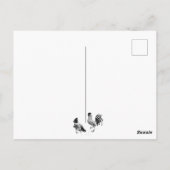 魅力的な農村のニワトリたち ポストカード (裏面)