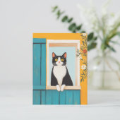 魅力的ウィンドウ内の猫 ポストカード (スタンド正面)