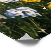 魅力的コテージに囲まカラフルれた ポスター (角)