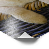 魅力的ゴルディRetriever犬の子犬 – Paperprint フォトプリント (角)