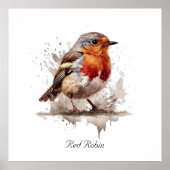 魅力的バックヤードロビンカスタム ポスター (正面)