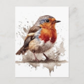 魅力的バックヤードロビン ポストカード (正面)