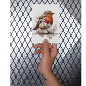 魅力的バックヤードロビン ポストカード