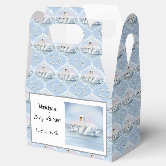 魅力的モマスワンとベビーイン桃の夕日 フェイバーボックス (オープン)