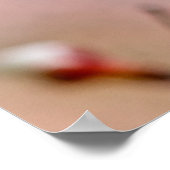 魅力的日本のなアプリコットの花 ポスター (角)