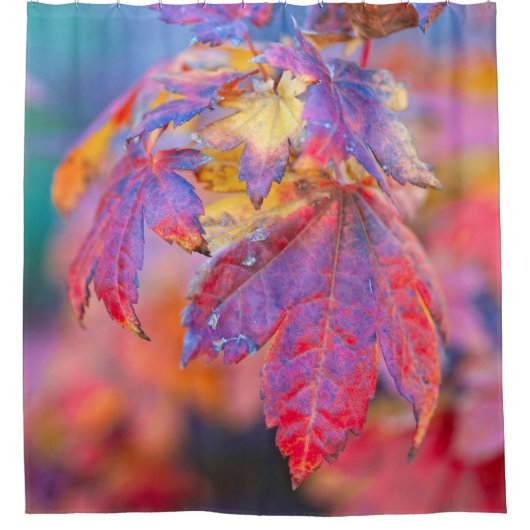 魅力的日本のなメ葉ジの シャワーカーテン (正面)