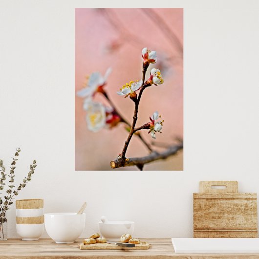 魅力的日本の咲く ポスター (キッチン)