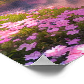 魅力的桜ツリーズバイ静かザ川 ポスター (角)