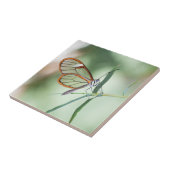 魅力的澄ん蝶 タイル (側面)