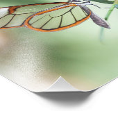 魅力的澄ん蝶 フォトプリント            (角)