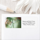 魅力的澄ん蝶 ラベル (インサイチュ)