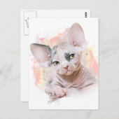 魅力的 ポストカード (正面/裏面)