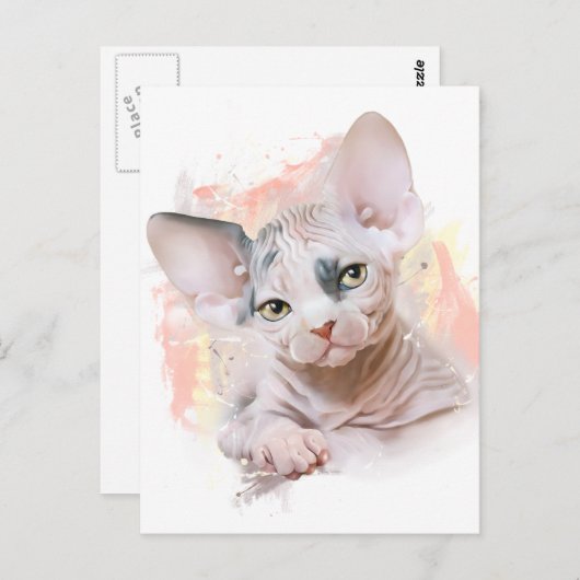 魅力的 ポストカード (正面/裏面)