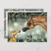 魅惑される美しい ポストカード (正面/裏面)