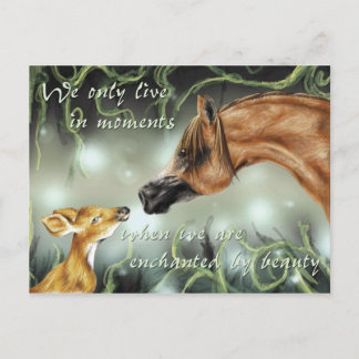 魅惑される美しい ポストカード