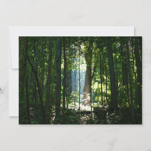 魅惑され、謎に包まれ、美しい (正面)