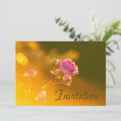 魅惑のオーキッドの招待状 招待状 (スタンド正面)