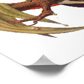 魅惑のカエルのポスター ポスター (角)