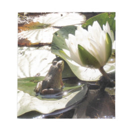 魅惑のカエル ノートパッド