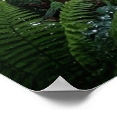 魅惑のガラスガーデンオアシス ポスター (角)