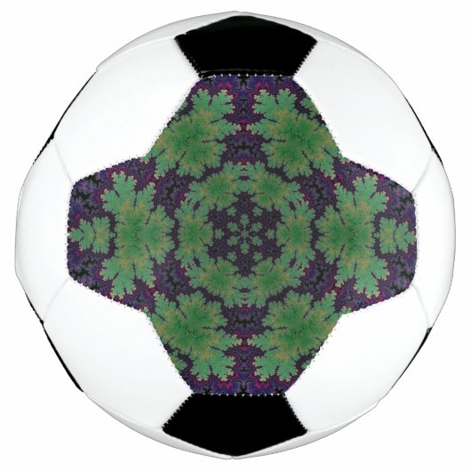 魅惑のシダの輪 サッカーボール (正面)