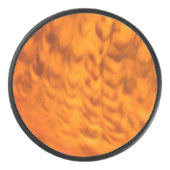 魅惑のシーシェル アイスホッケーパック (正面)