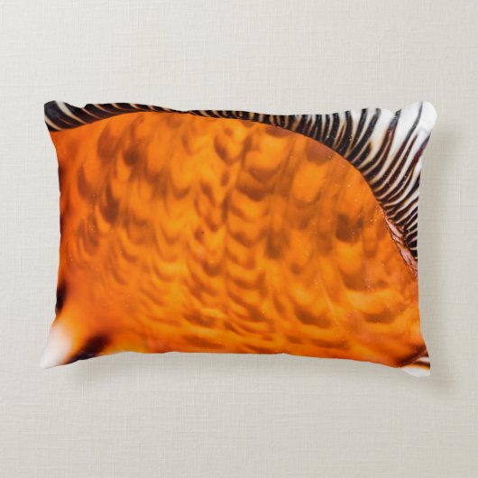 魅惑のシーシェル アクセントクッション (裏面)