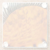 魅惑のシーシェル ガラスコースター (裏面)