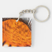 魅惑のシーシェル キーホルダー (裏面)