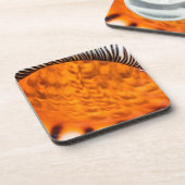 魅惑のシーシェル コースター (左側)