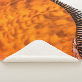 魅惑のシーシェル シェルパブランケット