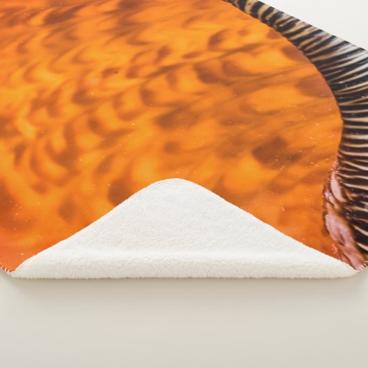 魅惑のシーシェル シェルパブランケット (3/4)