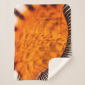 魅惑のシーシェル シェルパブランケット (正面)