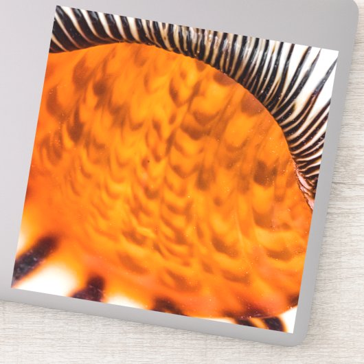 魅惑のシーシェル シール (詳細)