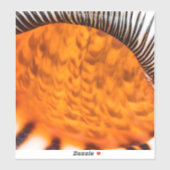 魅惑のシーシェル シール (シート)