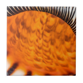 魅惑のシーシェル タイル