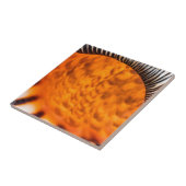 魅惑のシーシェル タイル (側面)