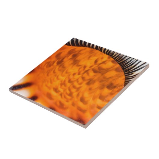 魅惑のシーシェル タイル (側面)