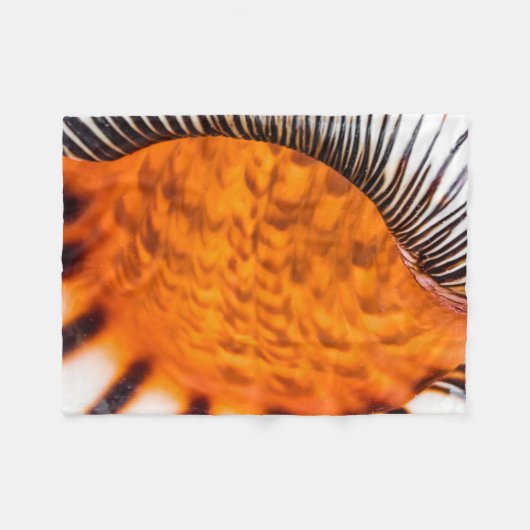 魅惑のシーシェル フリースブランケット (正面(横))